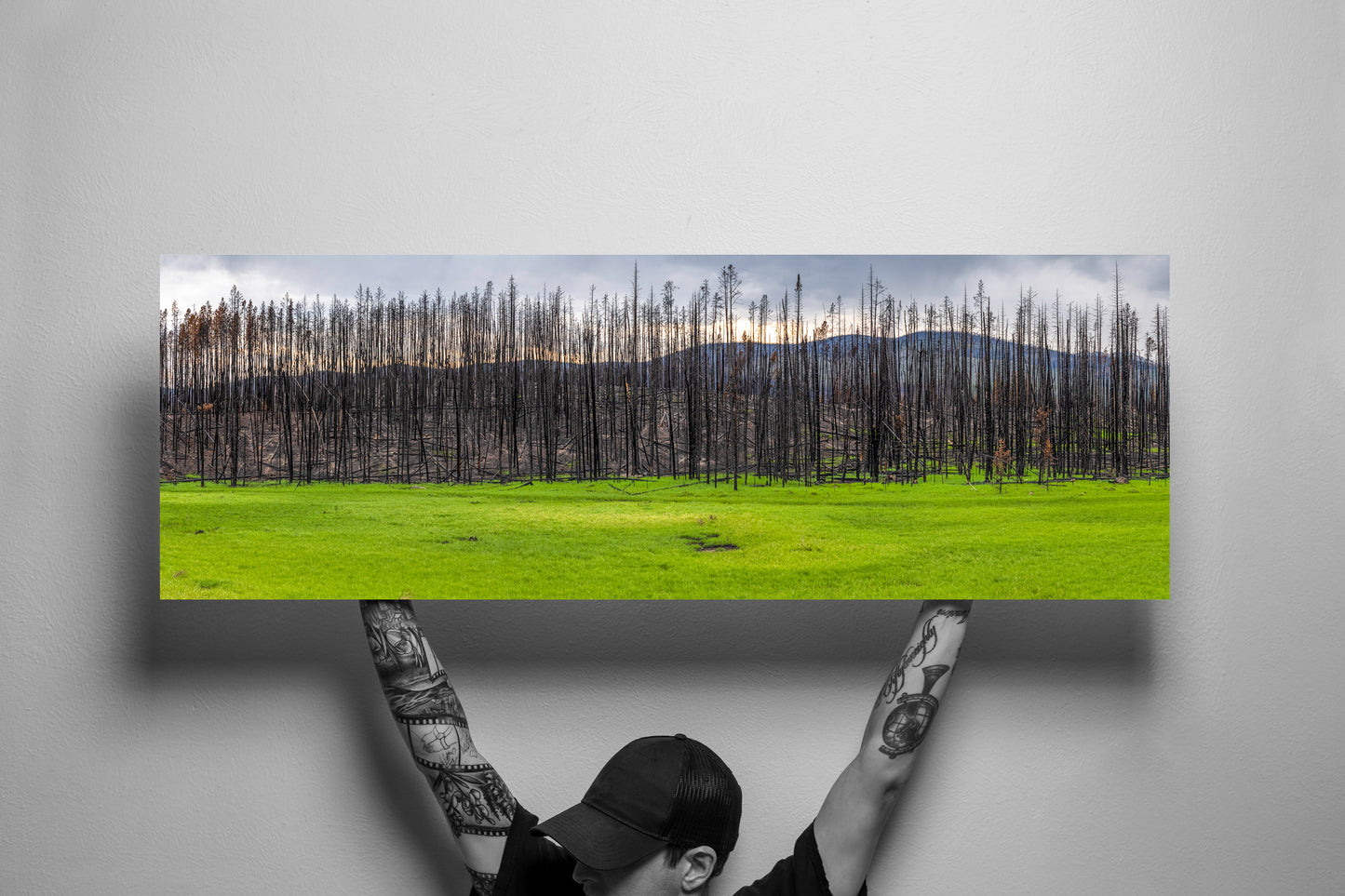 Green grass grows with scorched trees after a wildfire in Grand County, Colorado - Limited Edition Fine Art Panorama Print by Alber Photography