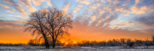 Winter Sunrise