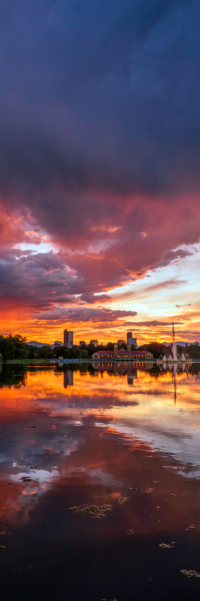 City Park Reflection