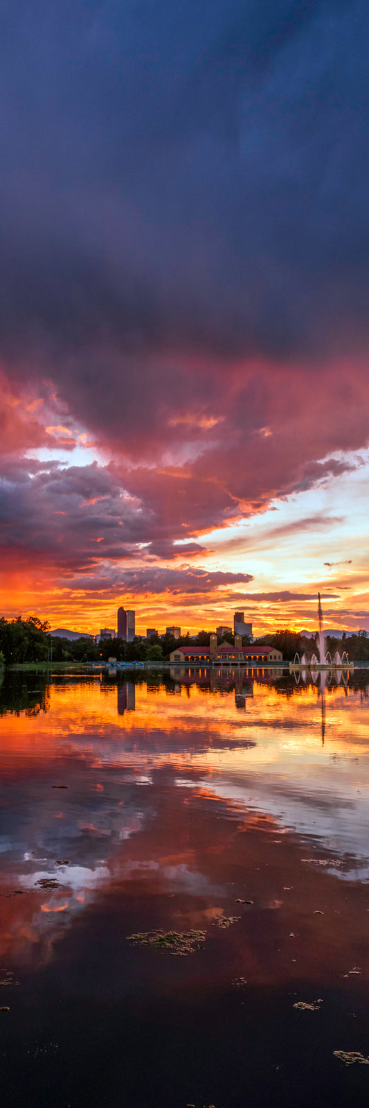 City Park Reflection