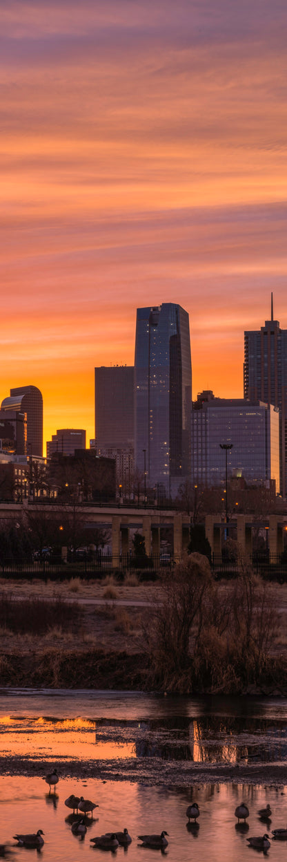 Confluence Sunrise